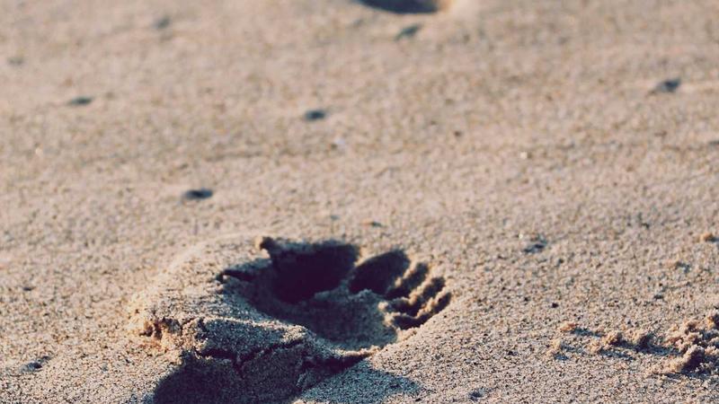Ethereum→Arbitrum Bridge Flows Reach $400M Weekly High
